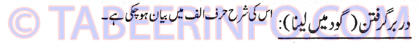darbar-griftan-good-main-lena